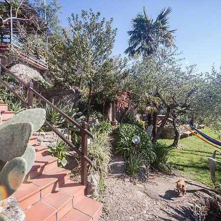 La Fattoria Di Nonna Eugenia Bed & Breakfast Lerici Exterior photo
