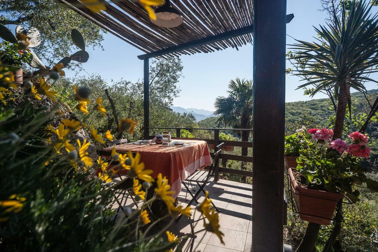 La Fattoria Di Nonna Eugenia Bed & Breakfast Lerici Exterior photo